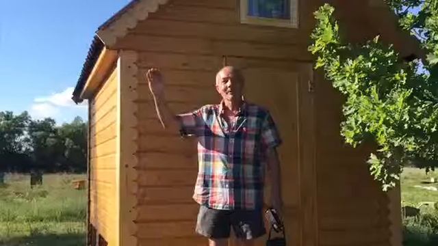 Первый день августа. Или в питомнике сибирских хаски DogWinter