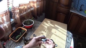 Привод колеса коляски мотоцикла Герап (доработка).