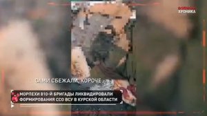 1 января. Собрали главные видео СВО за день