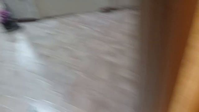 сериал :момо 1 сезон 2 серия