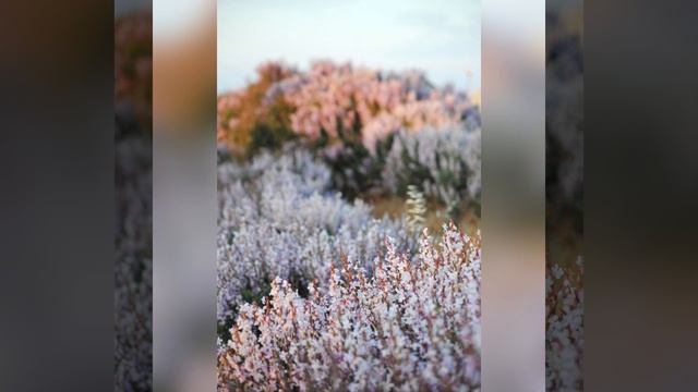 текст 3 смотреть онлайн