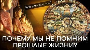 Почему мы не помним прошлые жизни. Будда о том, как вспомнить прошлую жизнь? Реинкарнация в буддизме