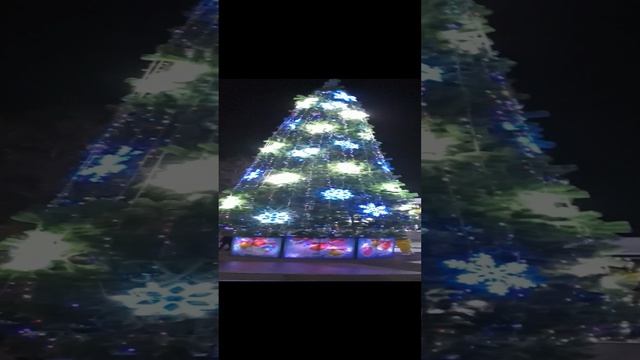 Новый год в городе Саки