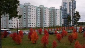 ХМАО Когалым 2014 год