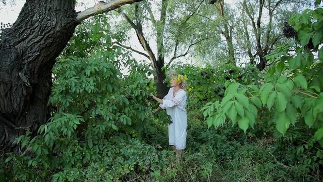 Анжелика Рута - Не бывает рута красной