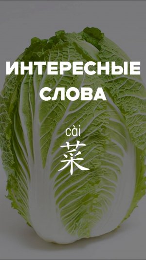 Интересные слова：菜