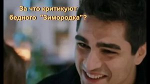 Турецкий сериал "Зимородок" самый обсуждаемый: почему?