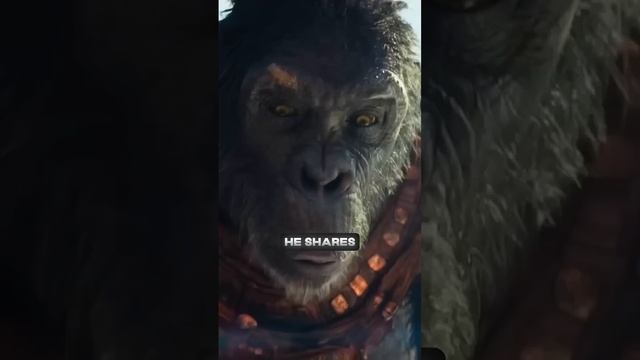 Who is Proximus Caesar? смотреть онлайн