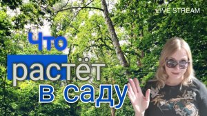 Что растёт в моем саду в феврале.