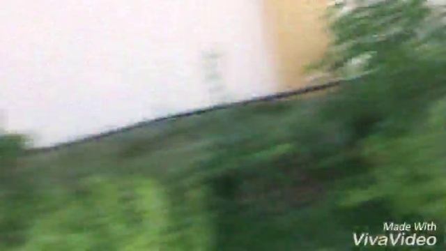 Я собираю крыжовник а собака рядом ест смотреть онлайн