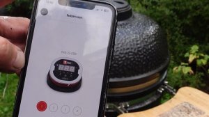 Копчёный лосось в керамическом гриле