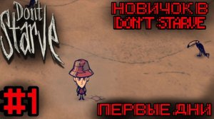 Новичок в Don't Starve #1 Первые Дни