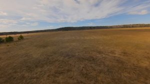 FPV полет в поле. Весна.
