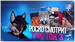 🐺 Роско смотрит видео в TikTok 3