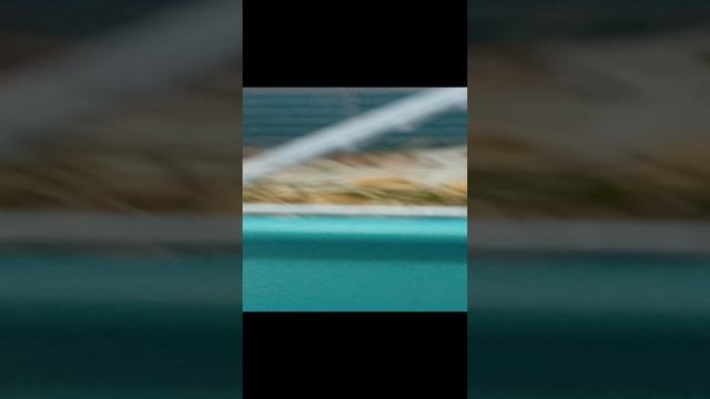 моё любимое видео про хомячков
