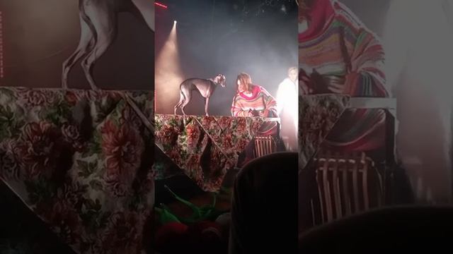 Видео от Кристины Плетнёвой (3)