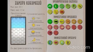 РЕАЛЬНАЯ РЫБАЛКА 2 | ХАРИУС СИБИРСКИЙ