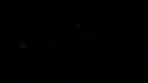 Ночью квакают лягушки