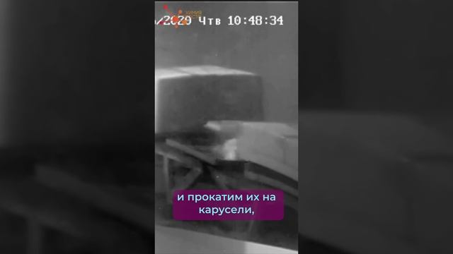 ТАРАКАНЫ ПРОТИВ РАДИАЦИИ смотреть онлайн