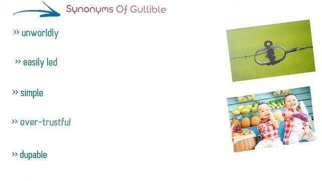 Gullible - Meanings Pronunciation Examples and Synonyms
