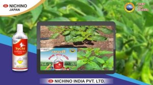 Tychi on Chili Part 1 | Nichino India Private Limited Presents Tychi - Performance on Chili