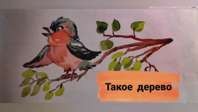 Такое дерево