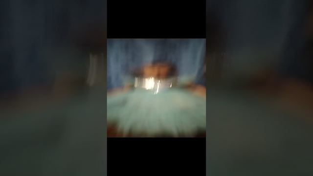1000041012.mp4