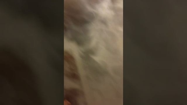 Johnson creek smoke juice tundra review смотреть онлайн