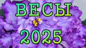 ВЕСЫ таро прогноз на 2025 год по месяцам.