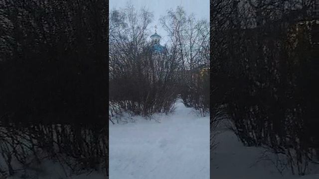 WhatsApp Video 2024-12-19 at 11.10.08