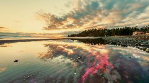 Гимн Непокорённых Романтиков