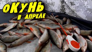 АВАНПОРТ. Зимняя рыбалка на Окуня. Подводная камера GoPro!