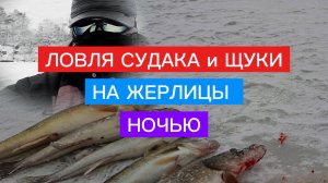 Рыбалка на  ХИЩНИКА ЗИМОЙ. Ловим СУДАКА и ЩУКУ на ЖЕРЛИЦУ! ЗИМНЯЯ РЫБАЛКА.