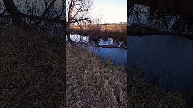 Охота норки на ондатру смотреть онлайн