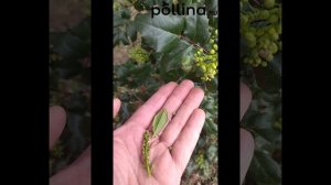 Продолжение 1  Начало весны 2024