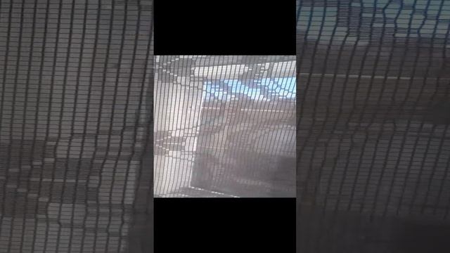 НЛО. смотреть онлайн