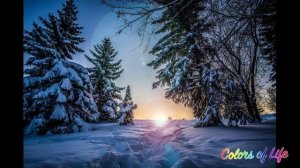 Цветотерапия|Волшебный пейзаж