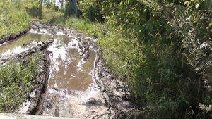 На мотоцикле Урал по лесу