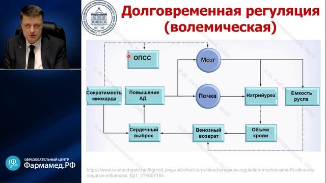 Артериальное давление физиология, измерение и мониторинг Лебединский К.М