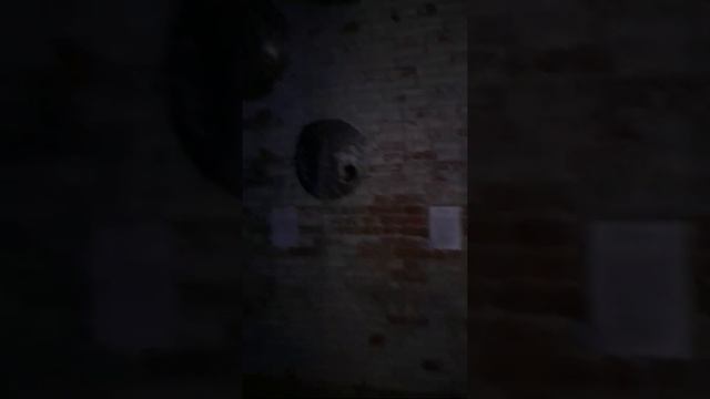 Тарковский. Вселенные (1)