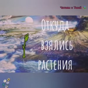 ОТКУДА ВЗЯЛИСЬ РАСТЕНИЯ