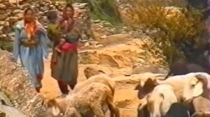 Гималаи  Долина Кулу 1997