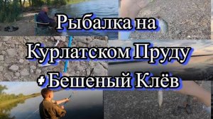 Отличная Рыбалка На "Курлатском Пруду", Клёв Краснопёрки И Таранки Как Из ПУЛИМЁТА