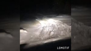 Тест по бездорожью, Toyota RAV4