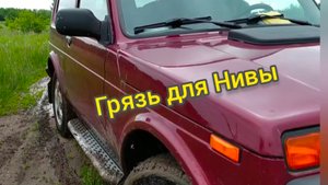 Стоковая Нива на штатной резине по бездорожью.
