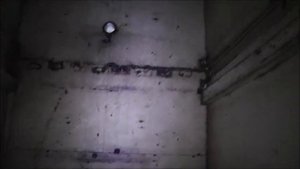 Кассетное пчеловодство Состояние павильона Беренлей после 12 лет эксплуатации