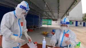 карантин 2.0/изоляция/выгул заключенных