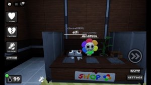 мы  потеряли денди его разозлил пеббл