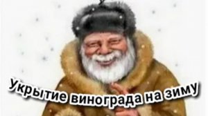 Укрытие винограда, просто и надежно