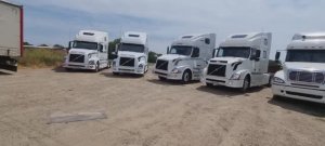 РАСПРОДАЖА !!!!  ЗВЕРИ.....Обзор готовых Белых Лебедей ..ВОЛЬВЫ VNL C двиг. детройт  12.7, 500л.с